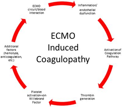 Anticoagulation in Neonatal ECMO: An Enigma Despite a Lot of Effort!